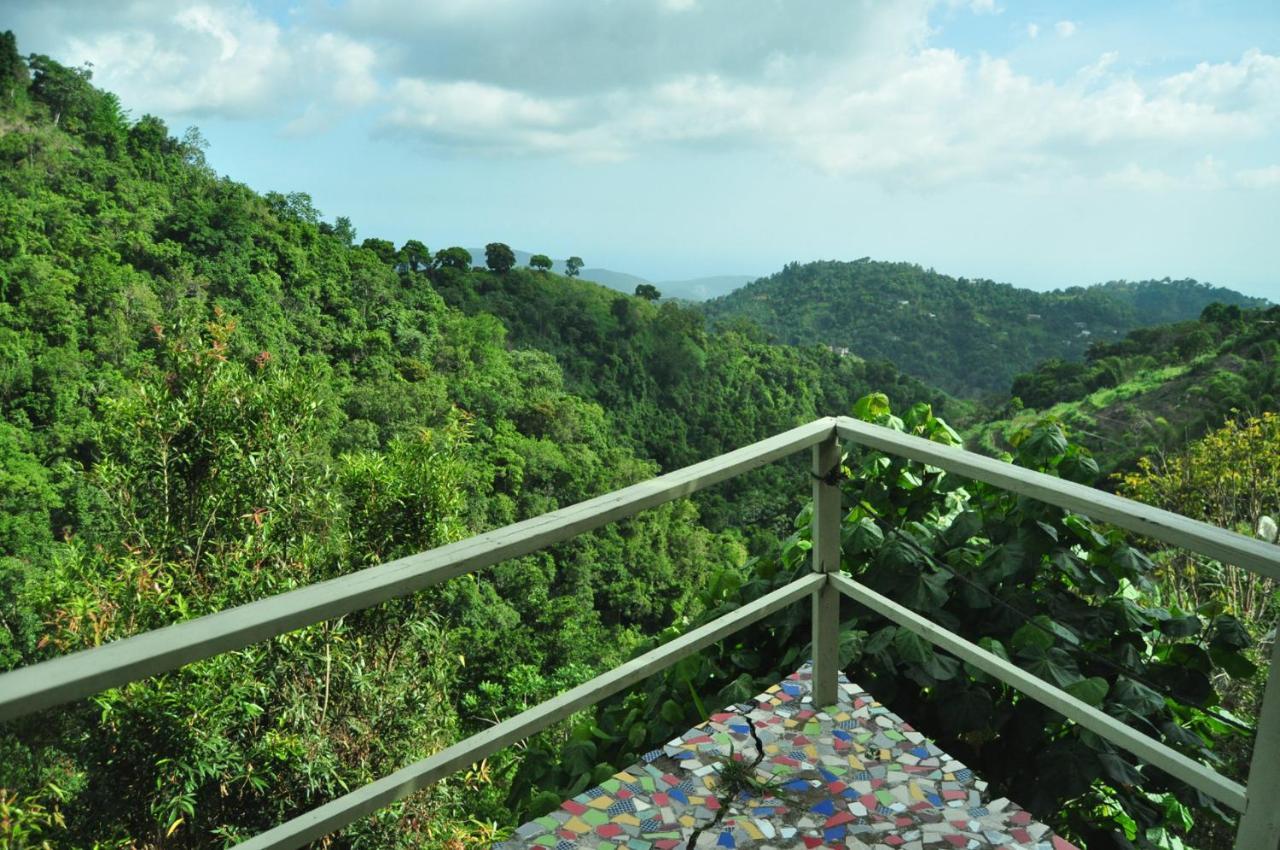 Mount Edge Guest House Port Antonio Exteriér fotografie